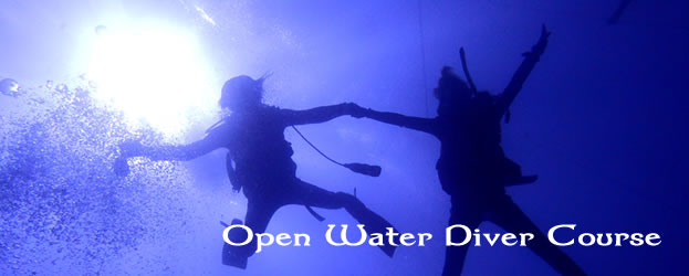 Open Water Diver Course